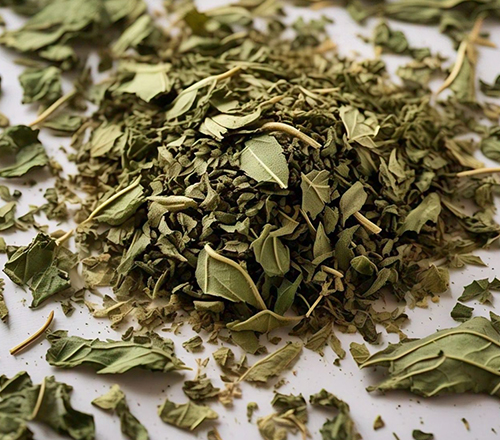 Basil