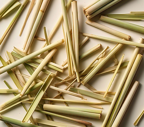 Lemon grass