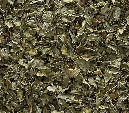 Spearmint Leaves